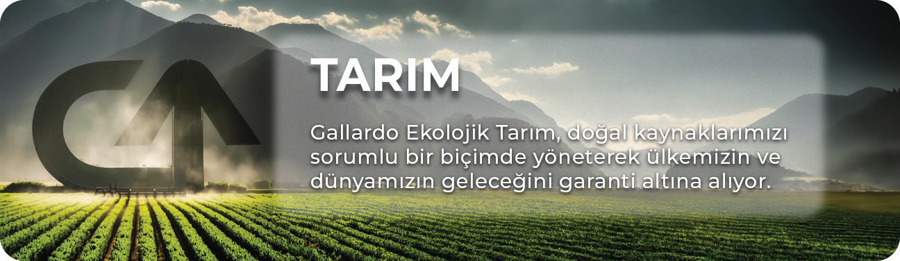 Tarım